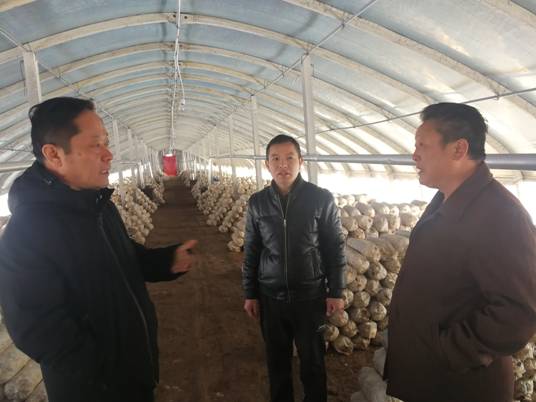 微信图片_20190201113928