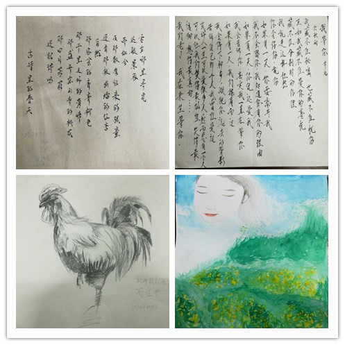大赛部分作品