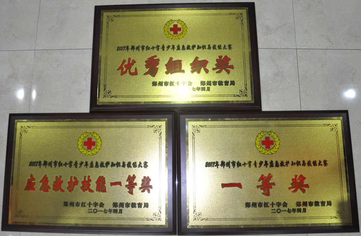 集体获奖奖牌
